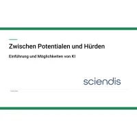 Präsentationsfolie ,,Zwischen Potentialen und Hürden"